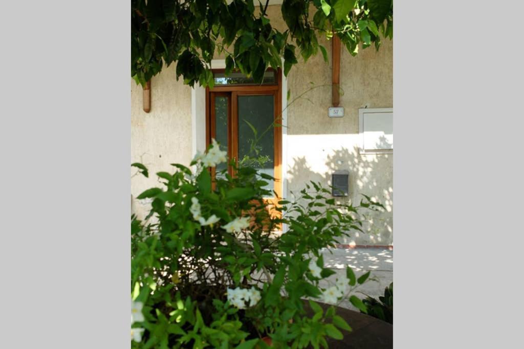 La Casina Di Bruna Mommio Luaran gambar