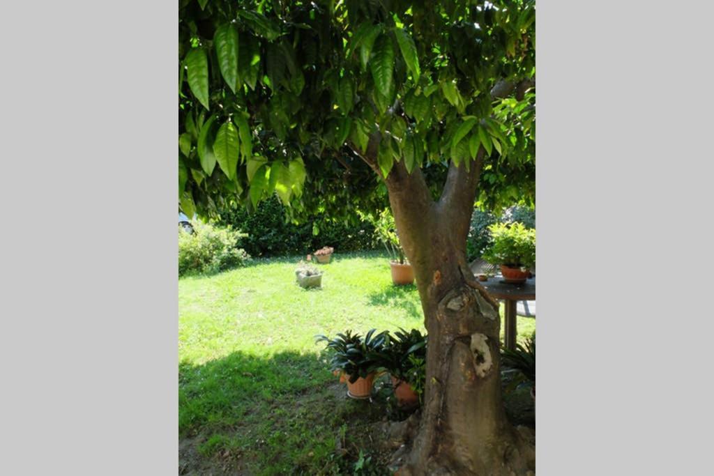 La Casina Di Bruna Mommio Luaran gambar